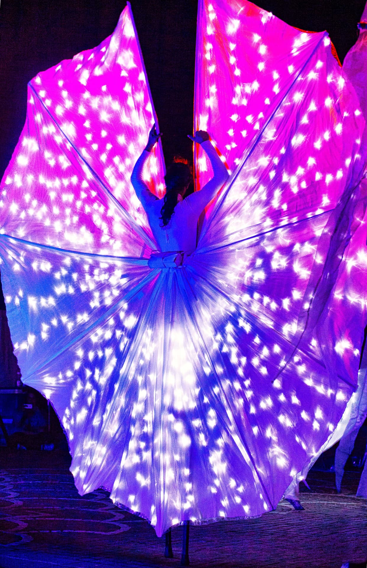 Performer on stilts seen from behind with large wings covered in glowing pink, purple and blue lights
