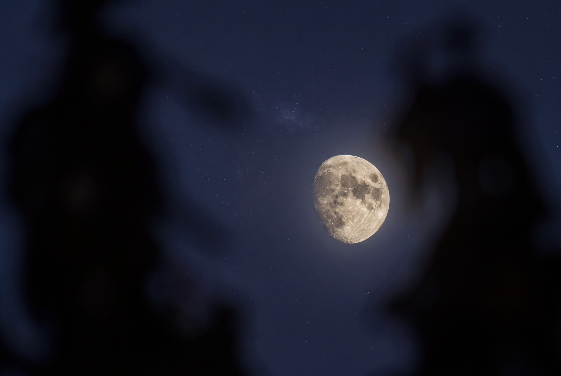 Waxing gibbous moon with visible craters in a starry night sky, framed by blurred dark branches
