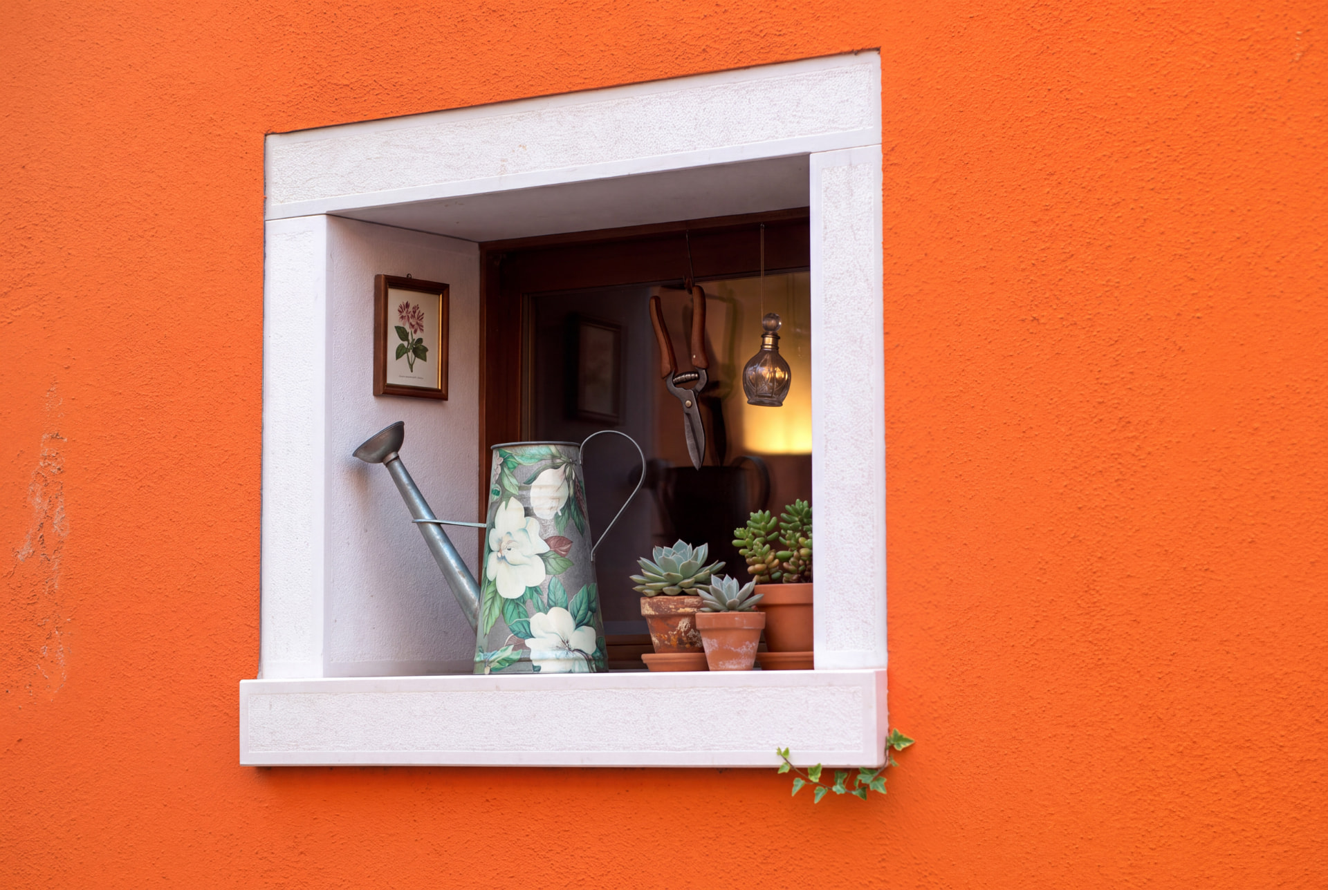 White-framed window in a bright orange wall with a floral watering can, small succulents and pruning shears