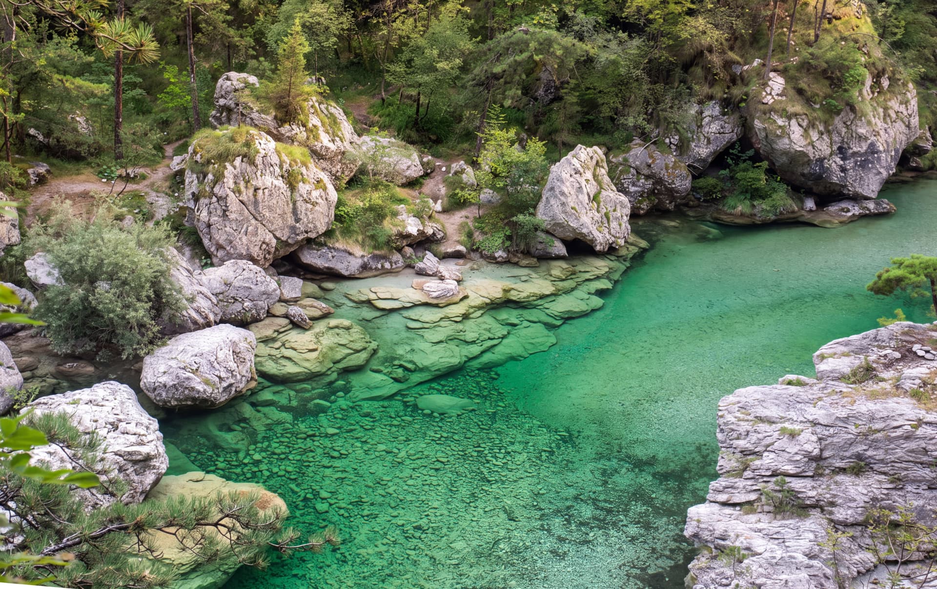 Clear emerald-green pool surrounded by pale rocks and forest
