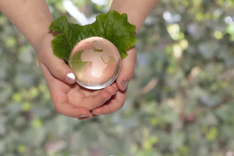 Hands holding a small glass globe of the Earth among green leaves
