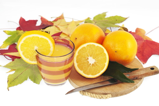 CITRUS HARVEST / 柑橘の収穫